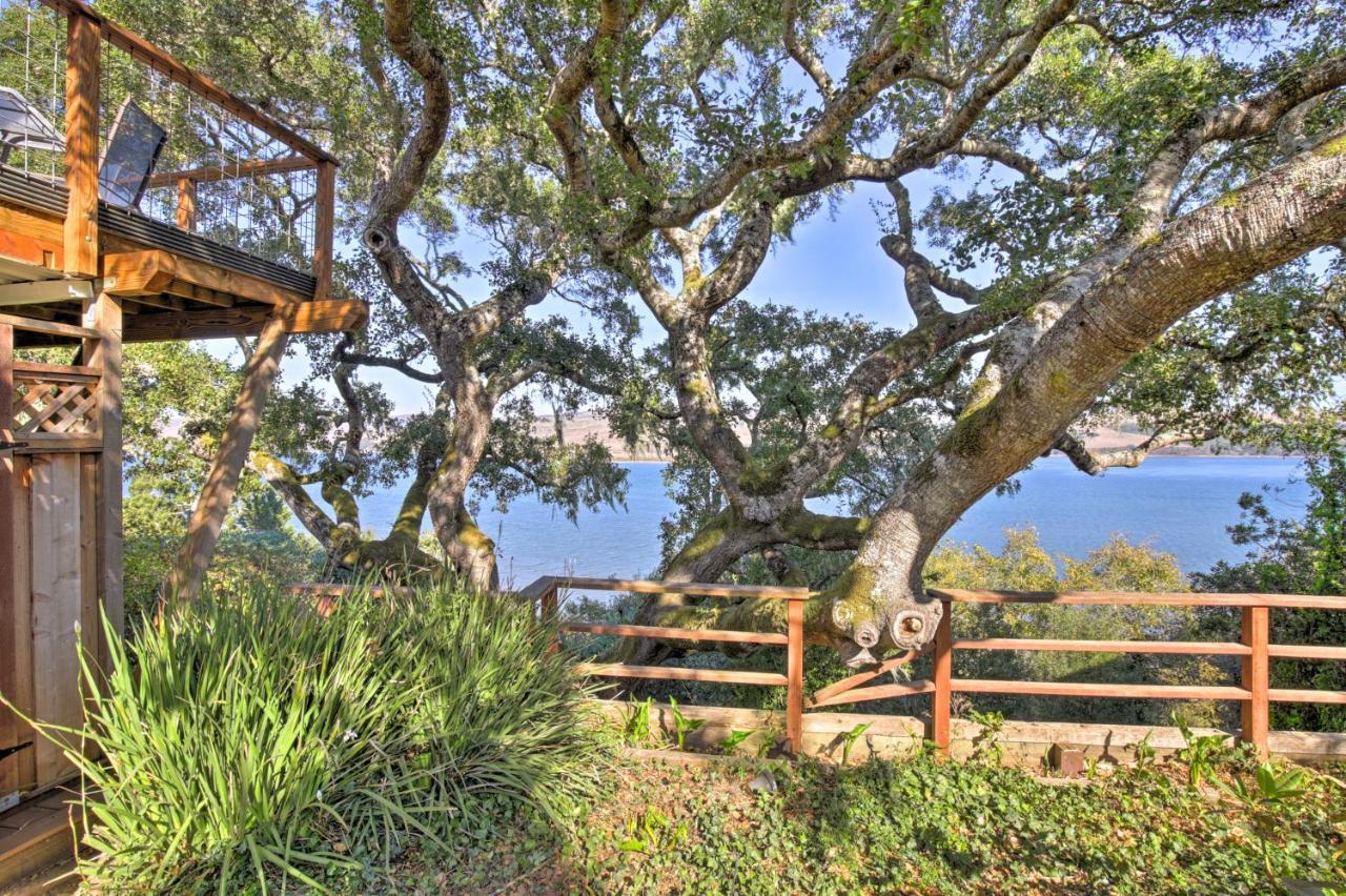 Hillside Home With Deck And Views Of Tomales Bay! インバーネス エクステリア 写真