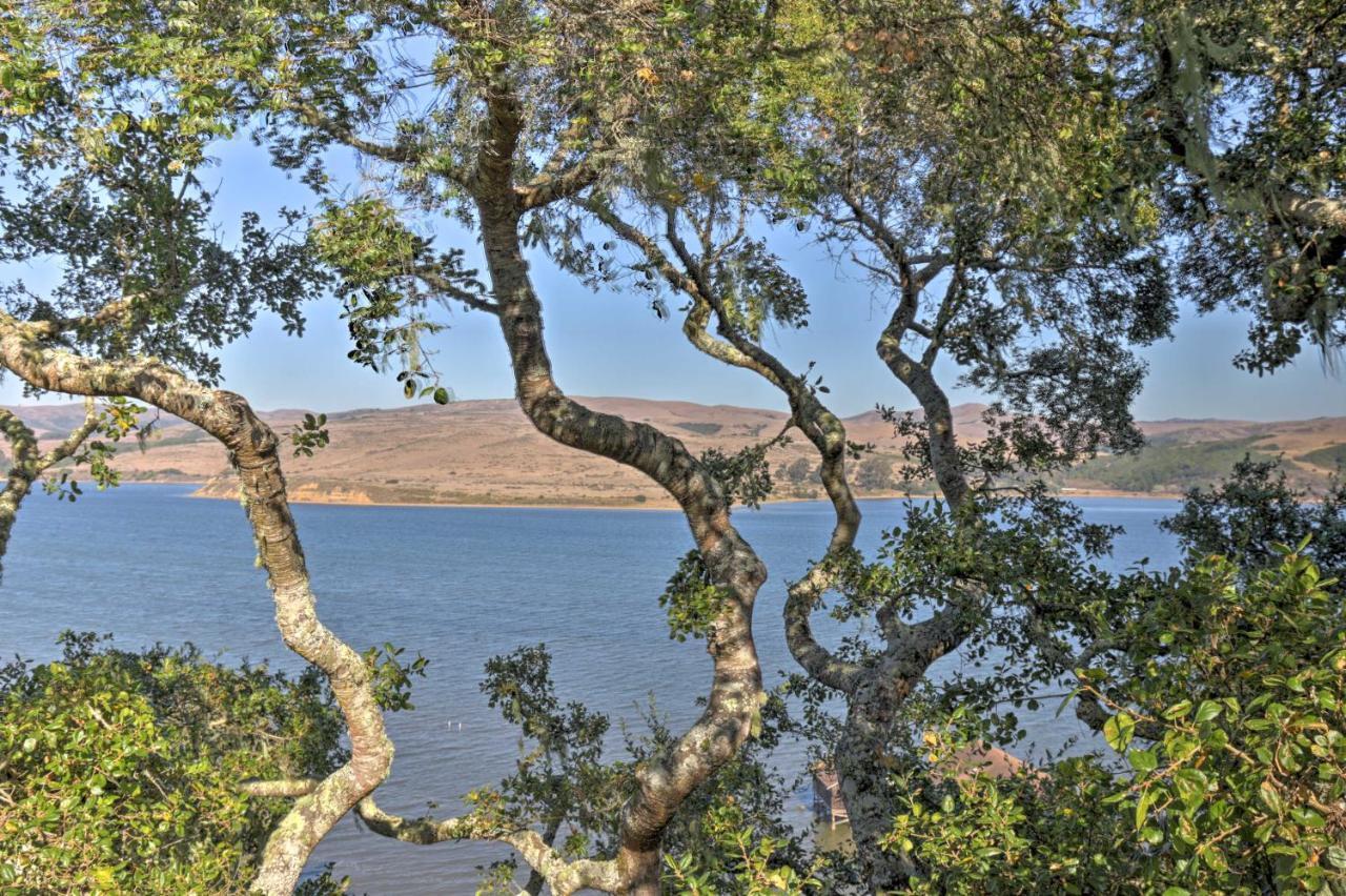 Hillside Home With Deck And Views Of Tomales Bay! インバーネス エクステリア 写真